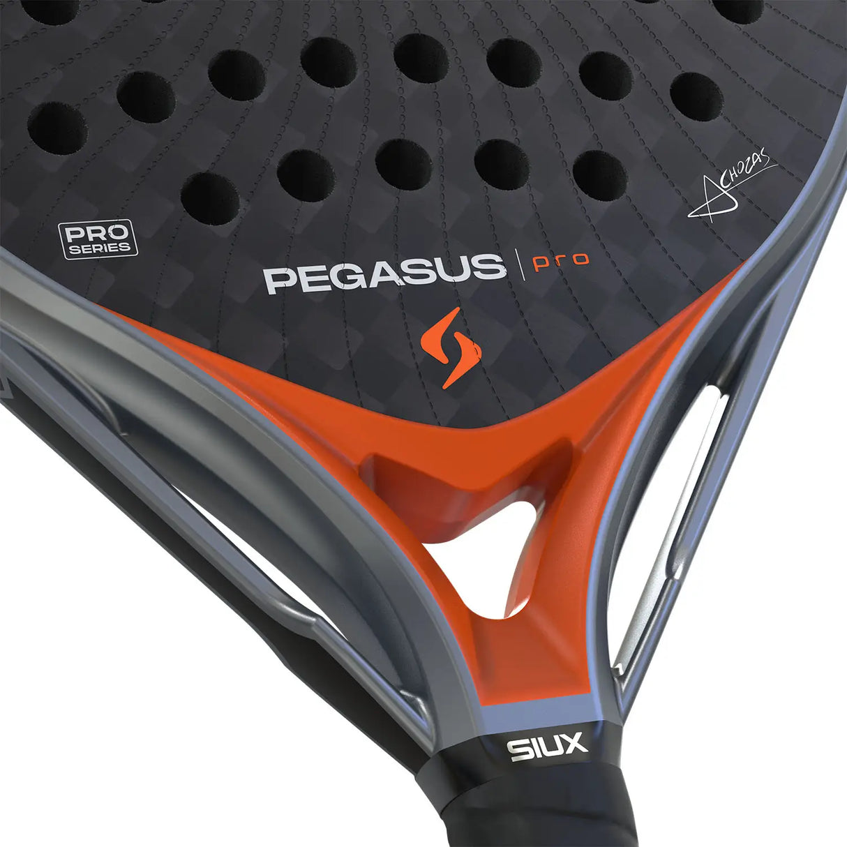 Close-up of a Pegasus Pro racket with visible branding on a white background