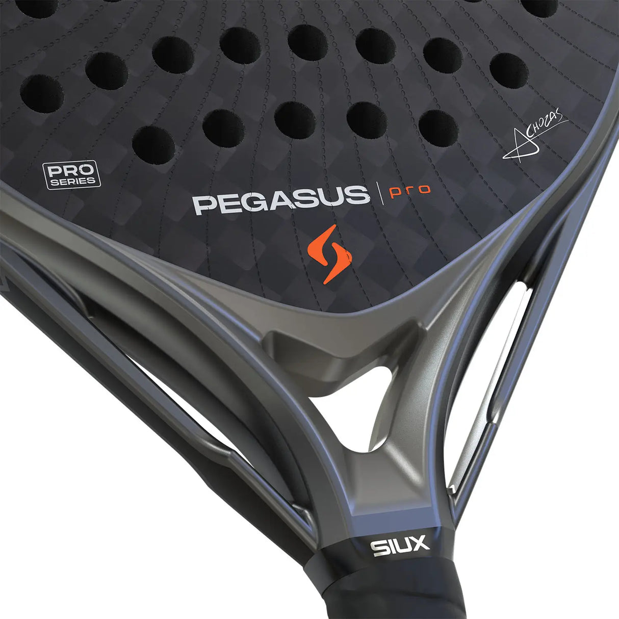 Close-up of a Pegasus tennis racket with branding and model details.