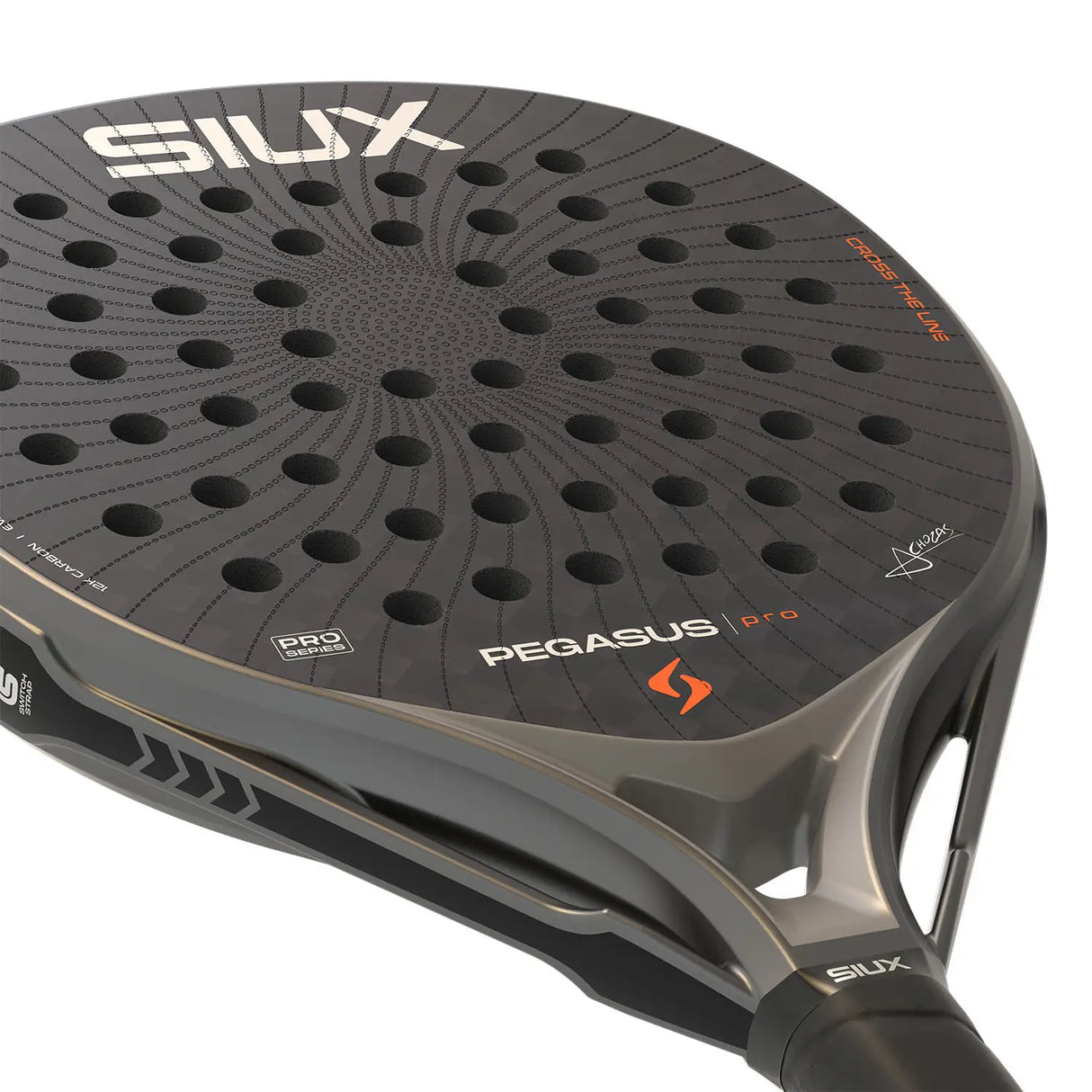Close-up of a black and gray sports paddle with 'SIUX' branding on a white background