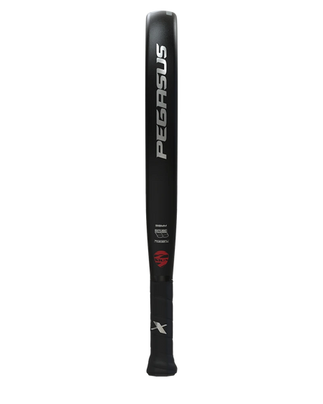 SIUX PEGASUS GRAPHENE SILVER – 2022