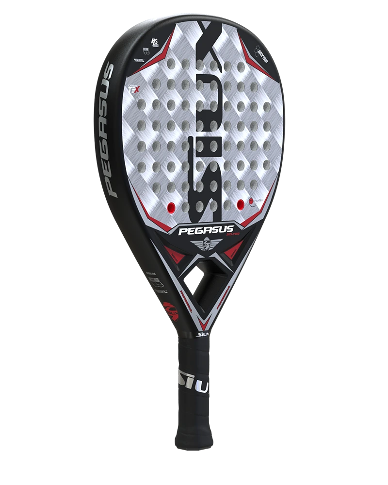 SIUX PEGASUS GRAPHENE SILVER – 2022 (2)