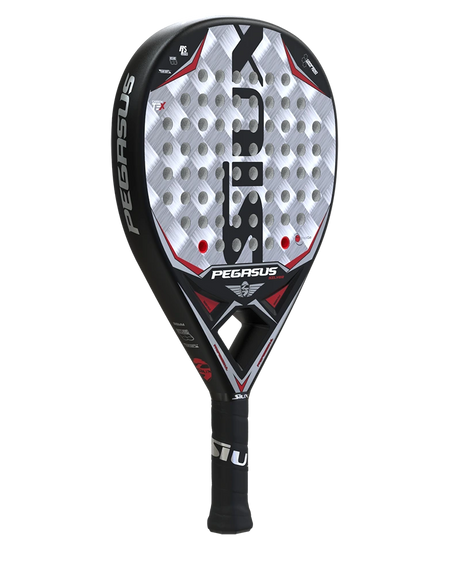 SIUX PEGASUS GRAPHENE SILVER – 2022 (2)