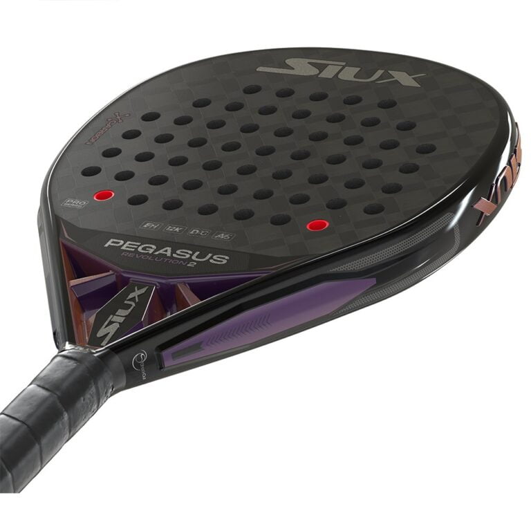 SIUX PEGASUS REVOLUTION 2-2024 RACKET (10)