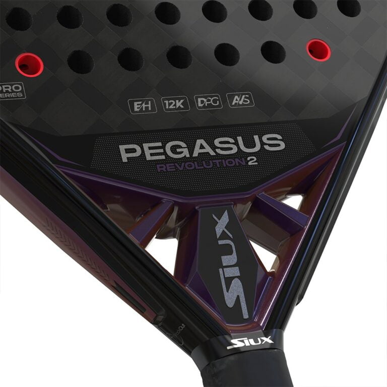 SIUX PEGASUS REVOLUTION 2-2024 RACKET (9)