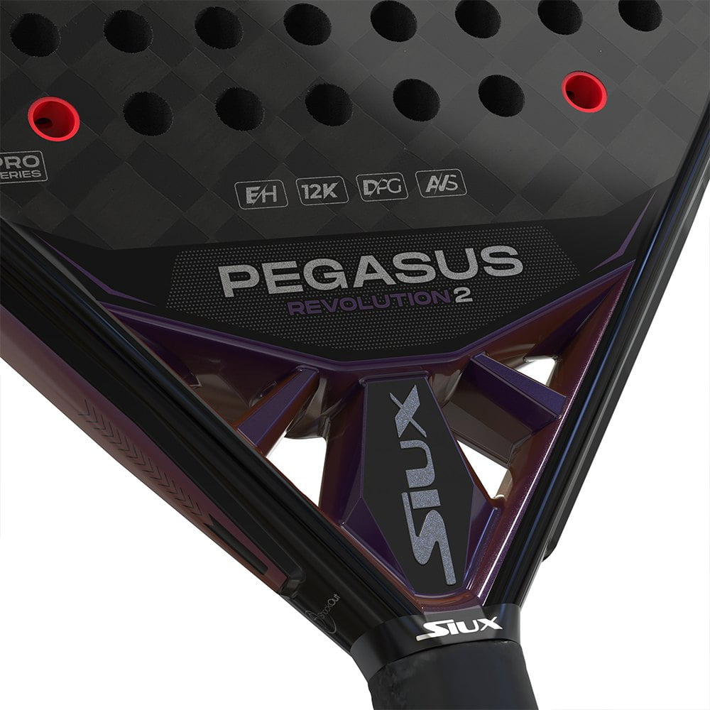SIUX PEGASUS REVOLUTION 2-2024 RACKET (4)